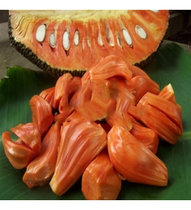 cây giống Mít ruột đỏ